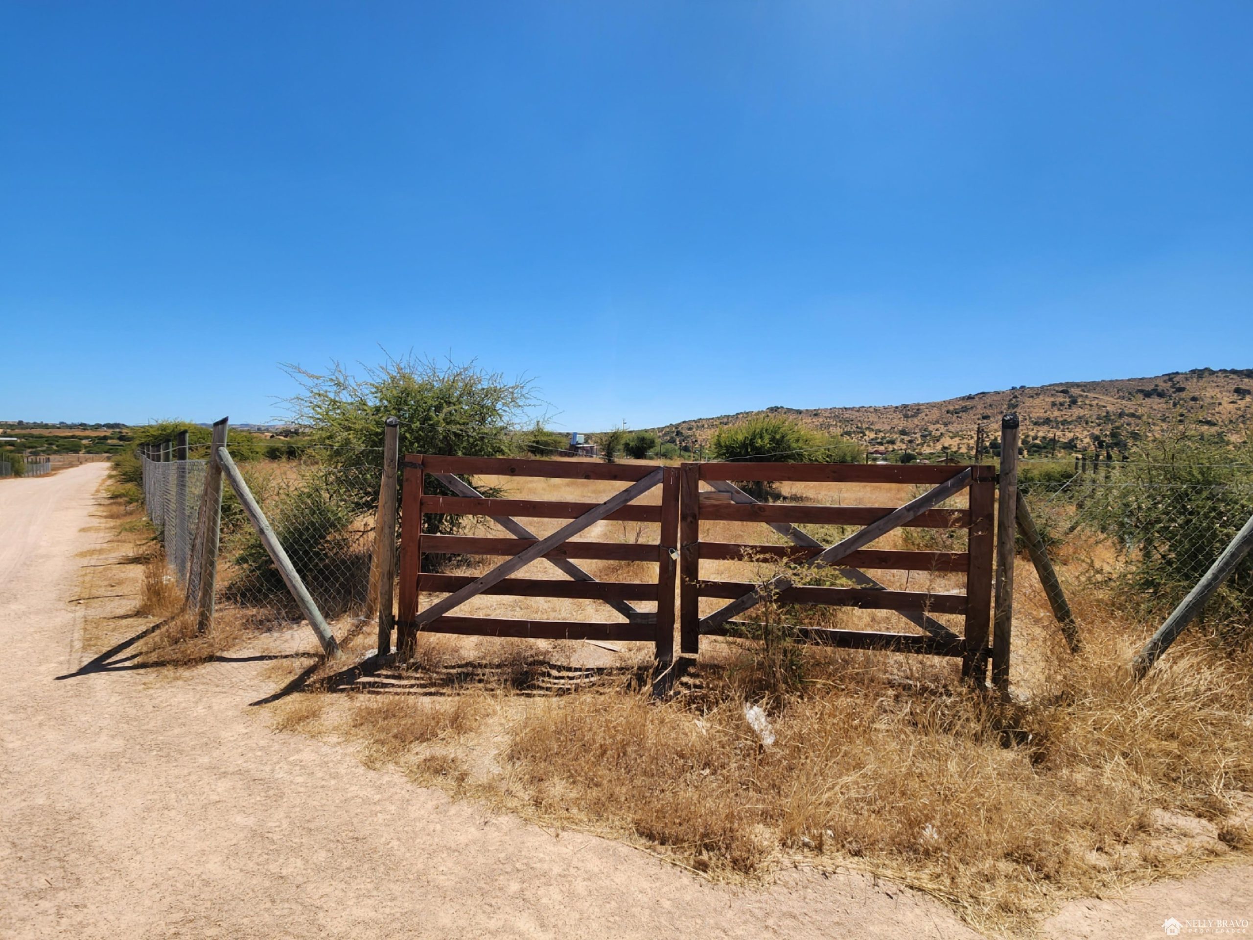 976511-20250305_141219