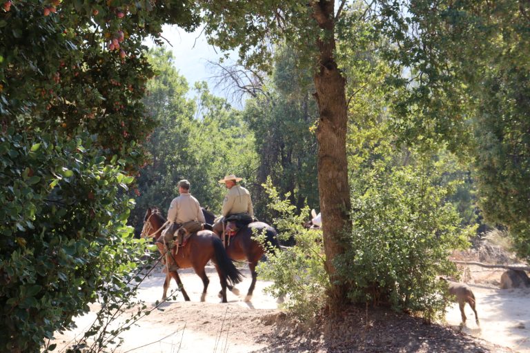 Guardaparques a caballo